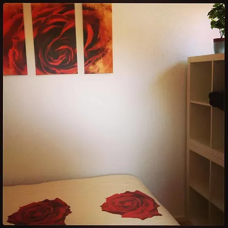 Strandhuussie Texel * دي كوخ